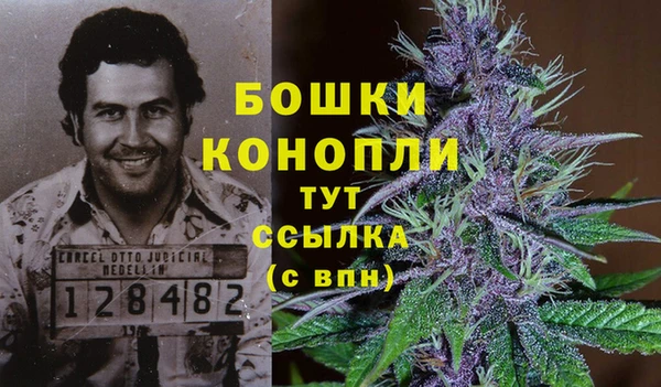 экстази Каменногорск